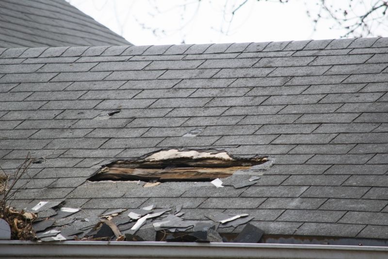 Asphalt Roof Leak Repair in Washtenaw County, MI