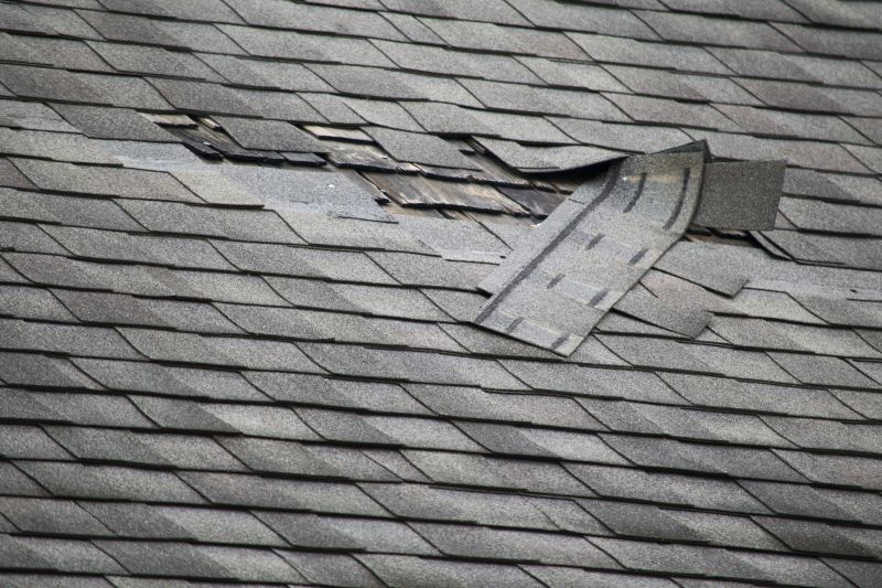Asphalt Roof Leak Repair in Wyandotte, MI