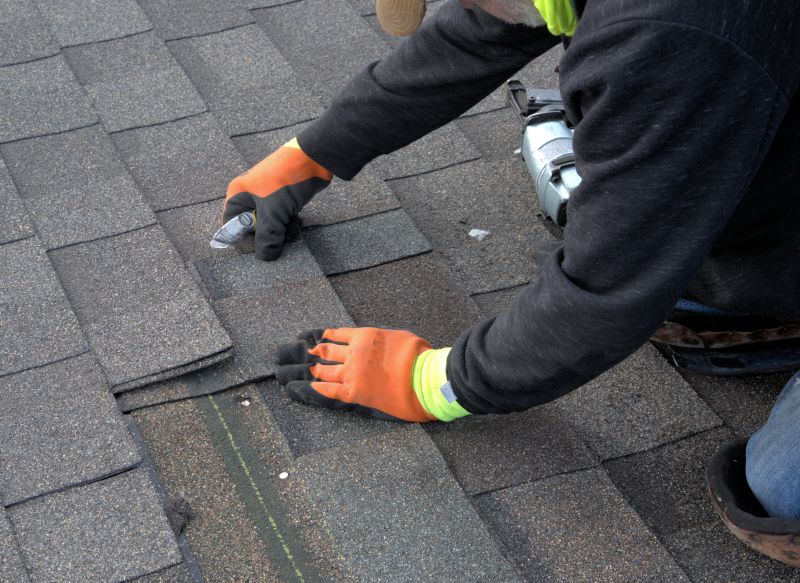 Asphalt Roof Repair in Trenton, MI