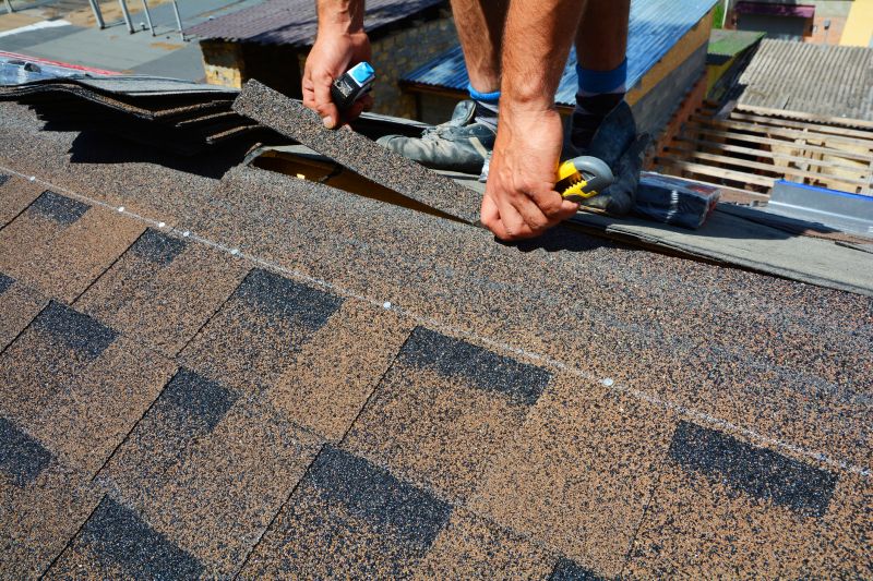 Asphalt Roof Repair in Warren, MI