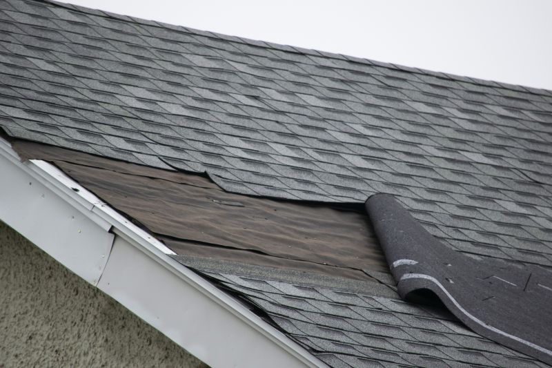 Asphalt Shingles Repair in Troy, MI