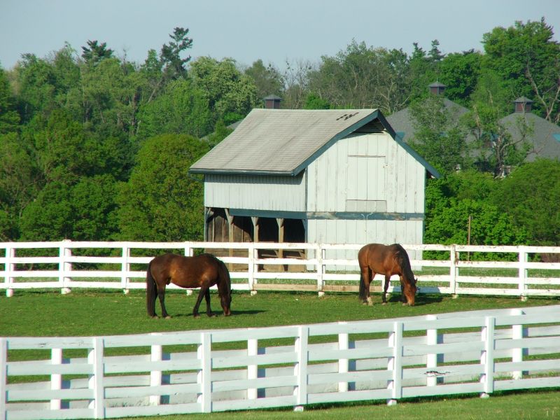 Barn Roof Construction in Northville, MI