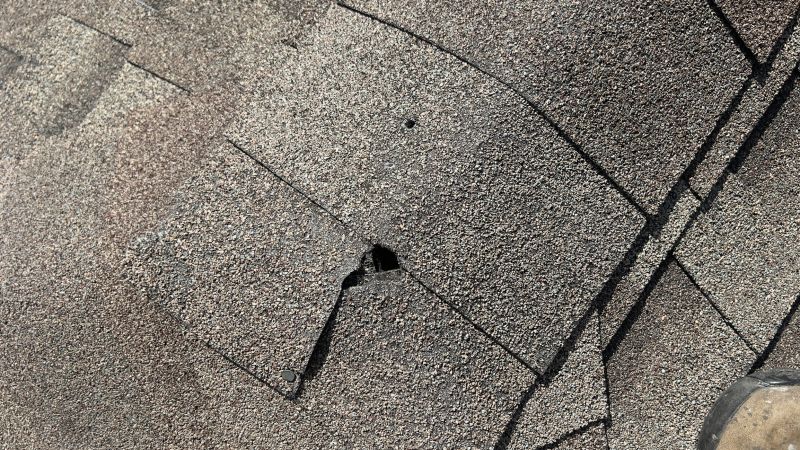 Damaged Roof Repair in Brighton, MI