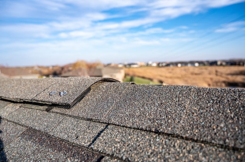 Damaged Roof Repair in Oak Park, MI