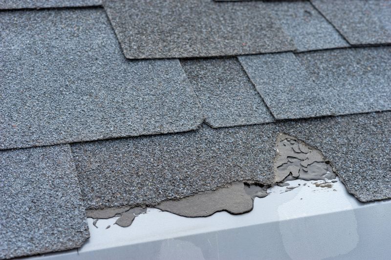 Damaged Roof Repair in Sterling Heights, MI
