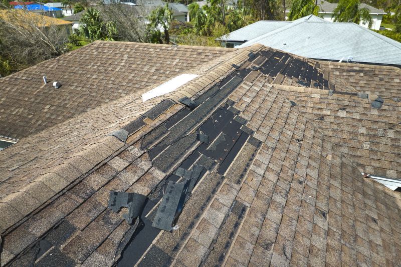 Damaged Roof Replacement in Birmingham, MI