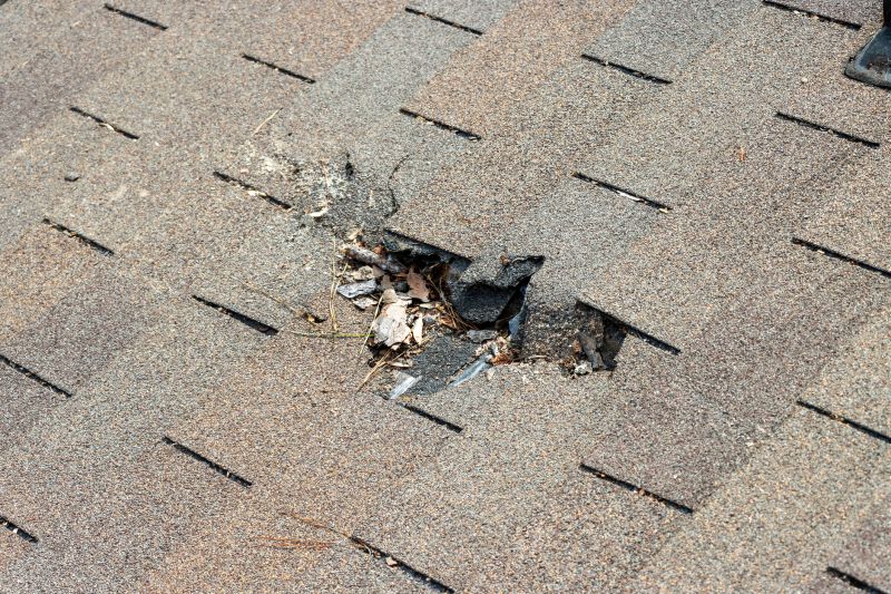 Damaged Roof Replacement in Lincoln Park, MI