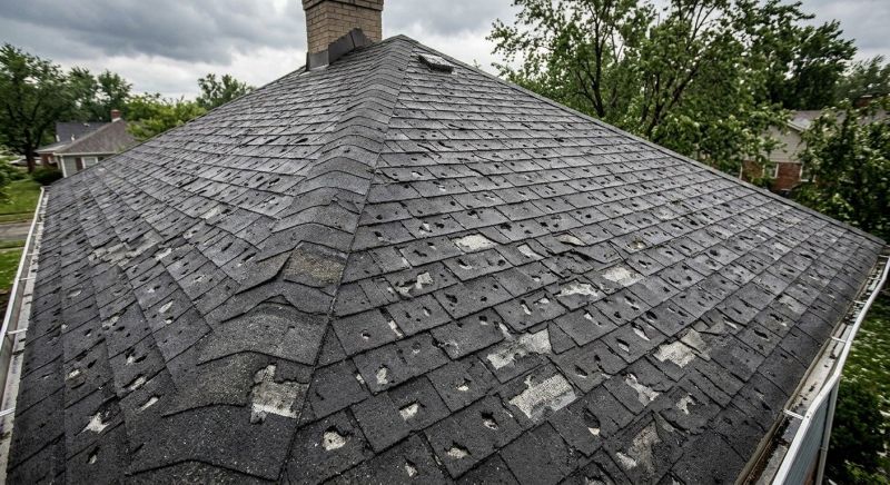 Roof Damage Repair in Hazel Park, MI
