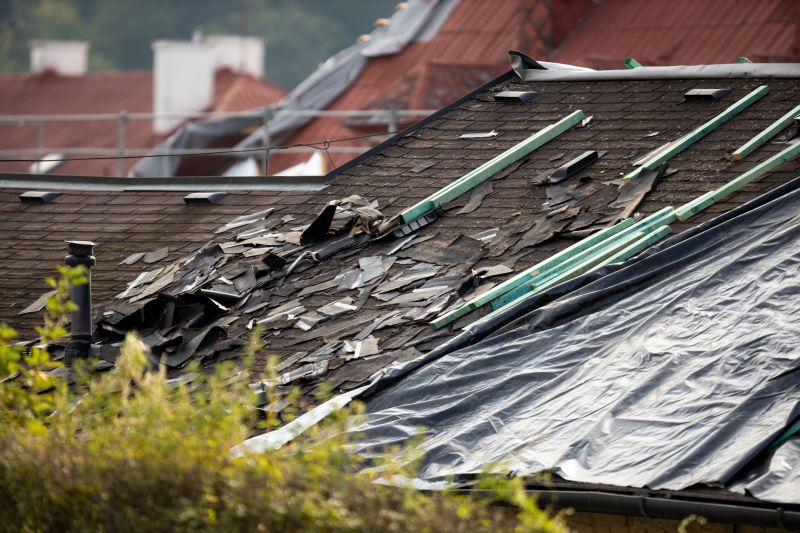 Storm Damage Roof Tarping in Northville, MI